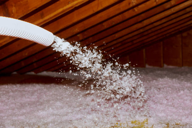 Best Spray Foam Insulation  in Tillmans Corner, AL