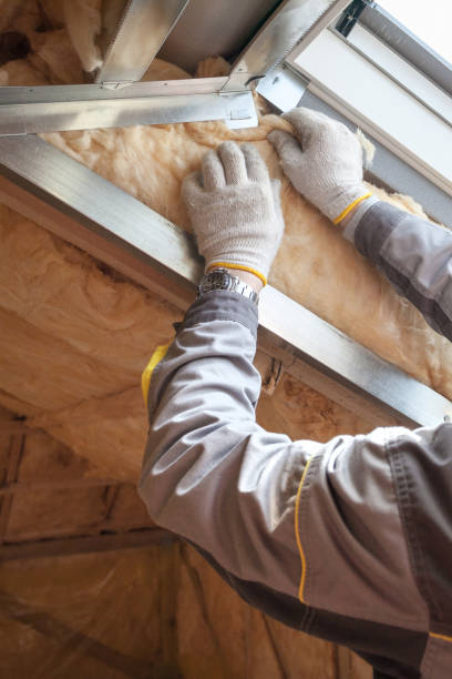 Best Attic Insulation Installation  in Tillmans Corner, AL