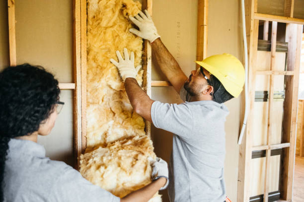 Best Affordable Insulation Services  in Tillmans Corner, AL